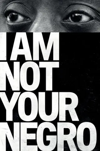I Am Not Your Negro movie poster
