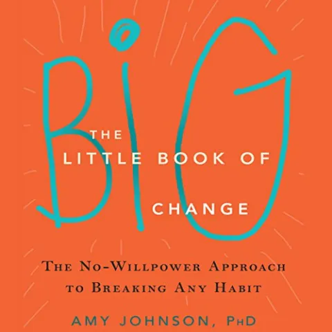 Cover of The Little Book of Big Change by Amy Johnson